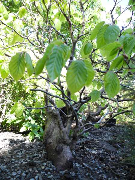 DSCN1315.JPG