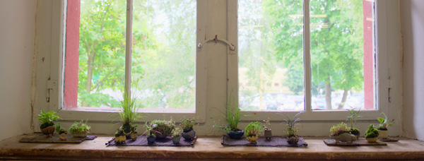 Beisteller-am-Fenster.jpg