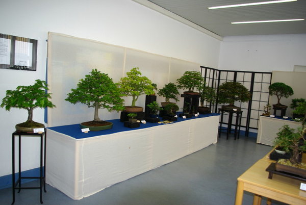 IMGP2229_1.JPG