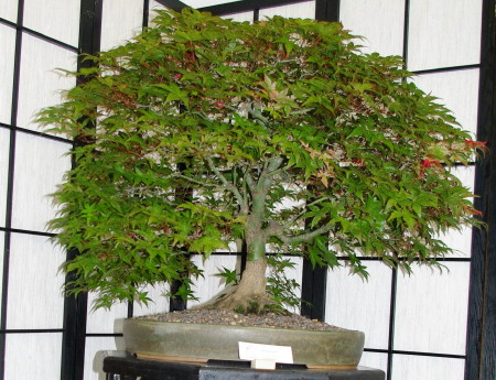 IMGP2230_1.JPG