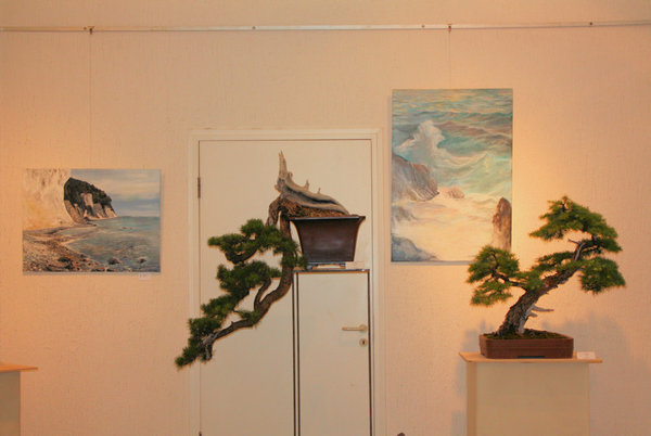 b&b4_10067_800.jpg