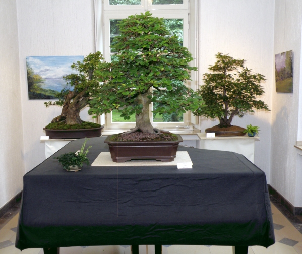 Bonsai mal anders