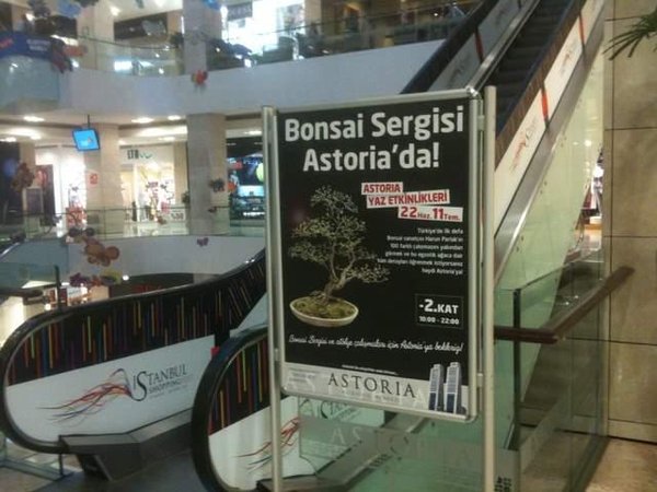 astoria sergi afii.jpg