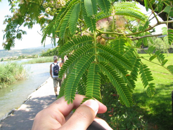IMG_2885test.jpg