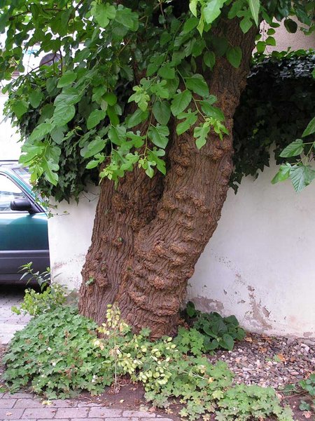 wie vor
