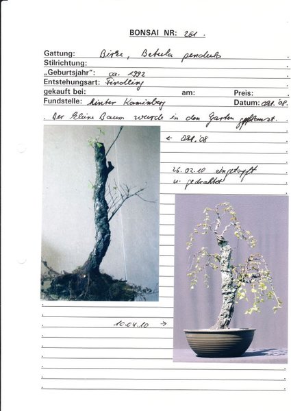 Birkenblatt-HermannHaas.jpg