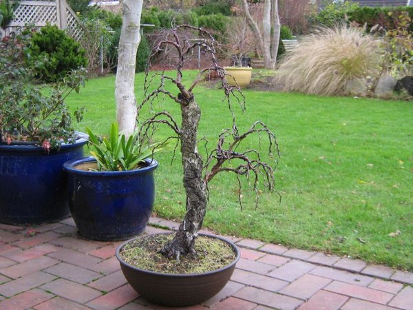 2010-11-12.jpg