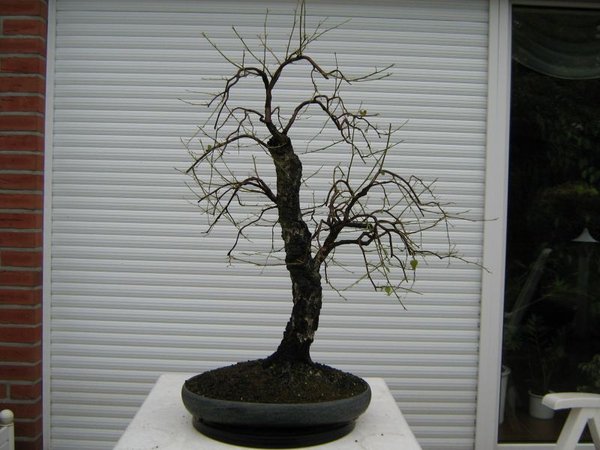 2011-06-19.JPG