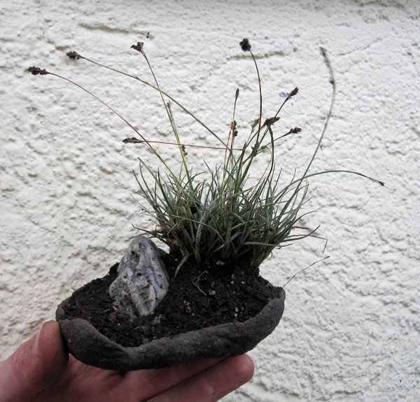 felsenmarbel mit stein