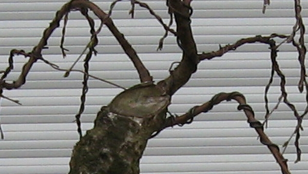 Zwischenablage01.jpg