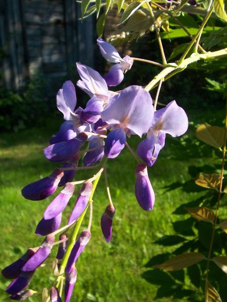 100_8940b.jpg