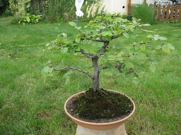 IMG_5099.jpg