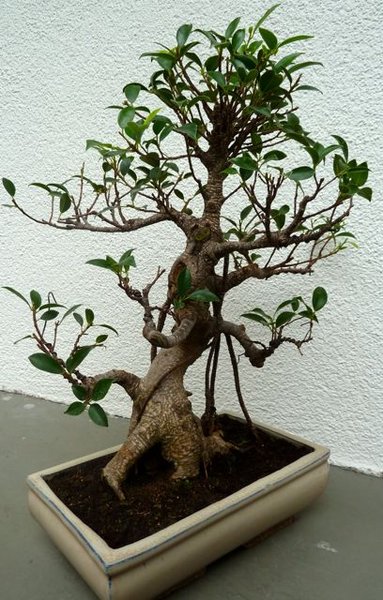 P1000872.jpg