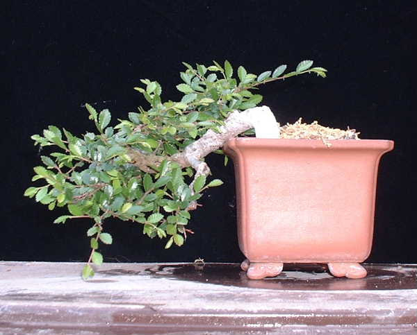 022-Mai09-UlParv.JPG
