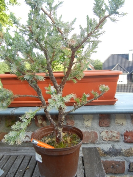 DSCN0760.jpg