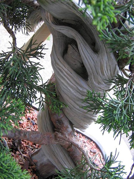1005_4b.jpg
