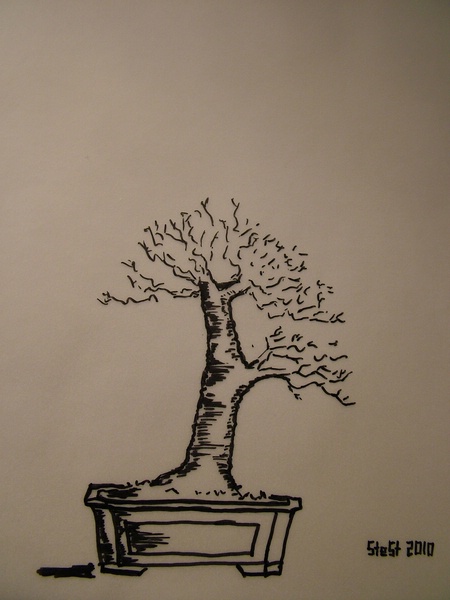 comp_2010_1205Bild0001.jpg