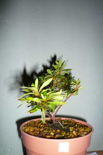 4.Seite