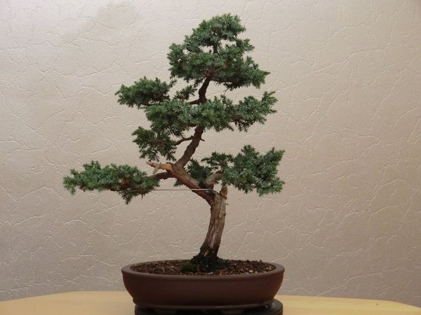 August 2011