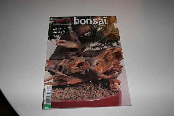 Kawabe France Bonsai 41 008.jpg