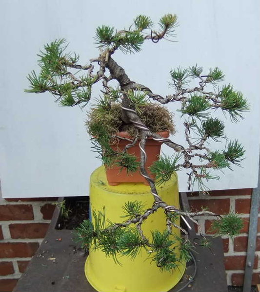 013-Aug11-PinMug.JPG