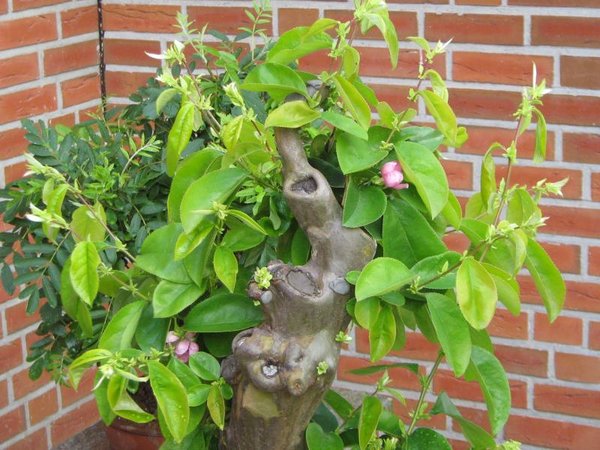 2011-05-30-1.jpg