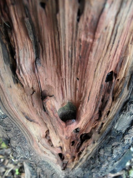 comp_2SAM_3089.jpg