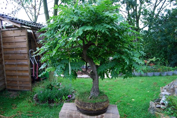 DSC_1432.JPG
