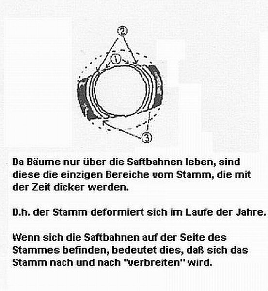 Totholzgestaltung_13d.jpg