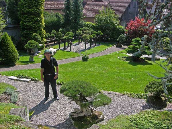 Blick in den Garten