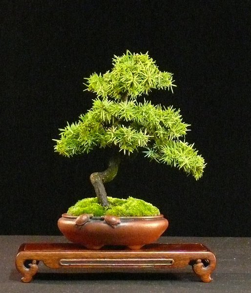 P1040077k.JPG