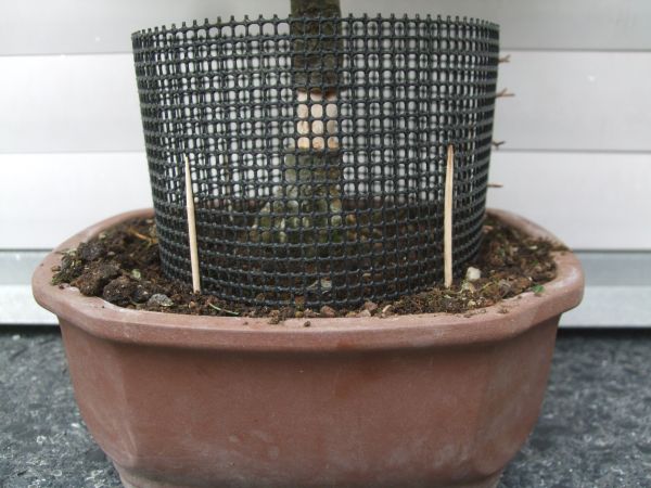 Abmoosbehälter in situ.jpg