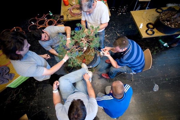 6 Italiener gegen eine Pinus !!!!!