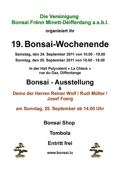 AFFICHE-BONSAI-WEEKEND-2011-all.jpg