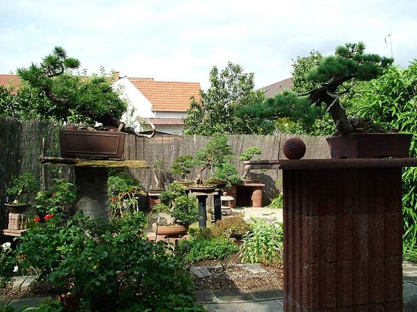 DSCF2001.jpg