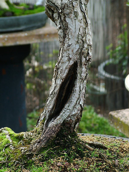 DSCF2033.jpg