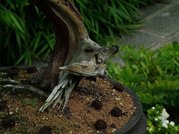 DSCF2034.jpg