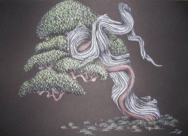 Davy dessin 014.jpg