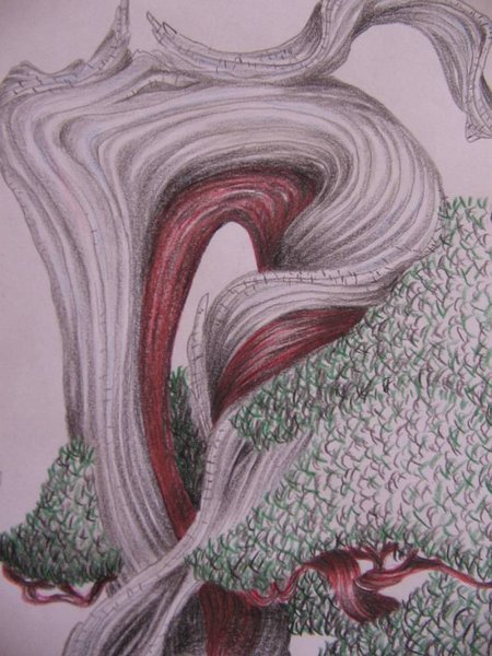 Davy dessin 019fin.jpg