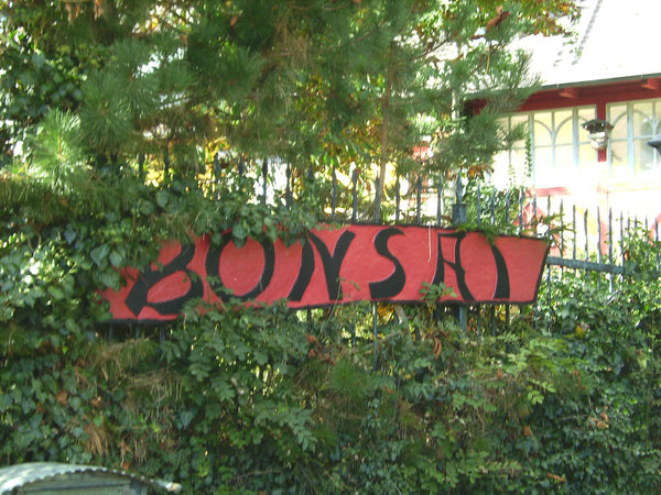 BILD2886.jpg