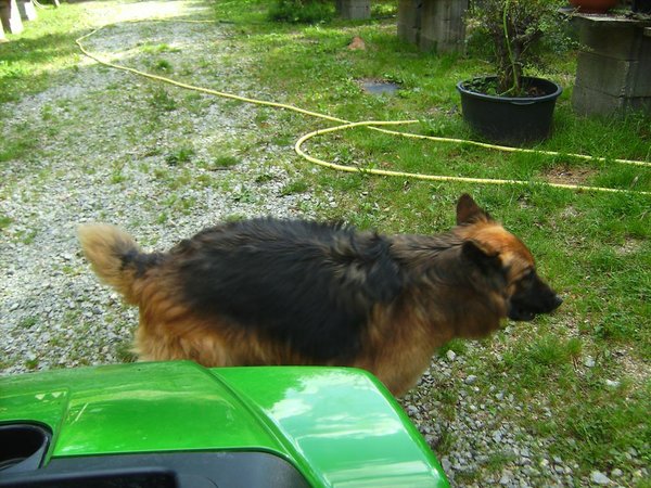 BILD2888.jpg