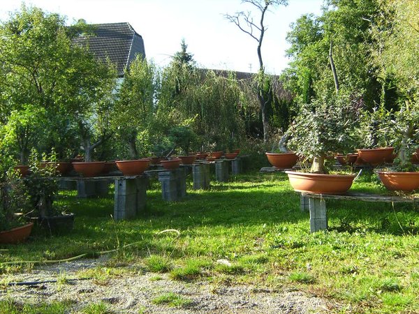 BILD2892.jpg