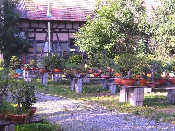 BILD2898.jpg