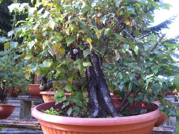 BILD2899.jpg