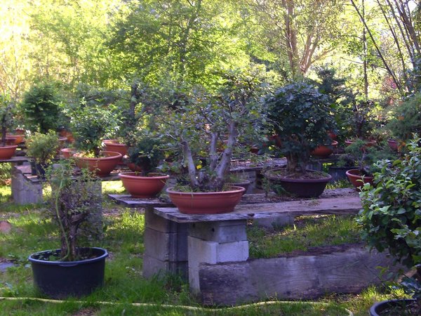 BILD2900.jpg