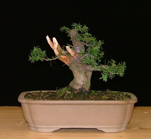 DSCF8348k.JPG