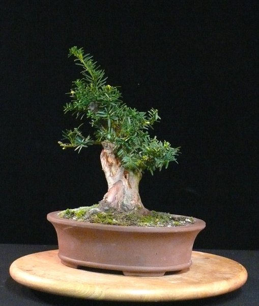 P1040161k.JPG