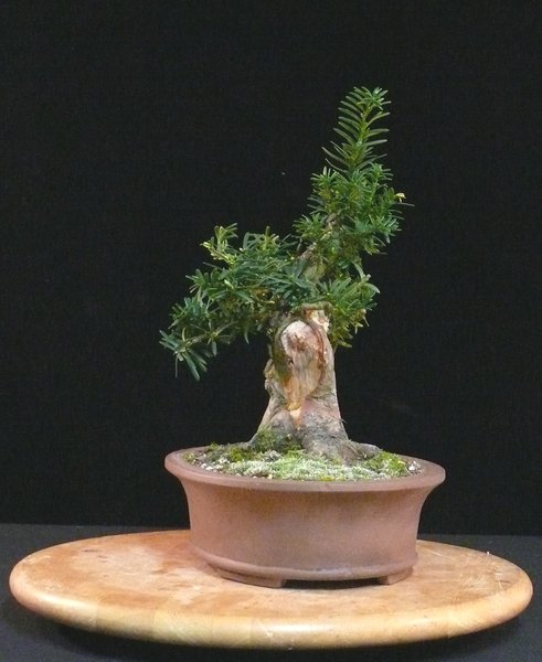 P1040164k.JPG