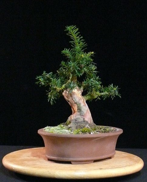 P1040165k.JPG