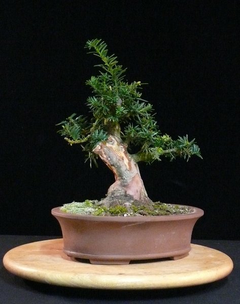 P1040166k.JPG
